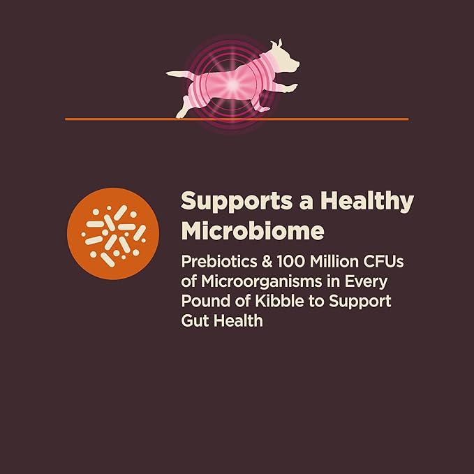 Wellness CORE Digestive Health Dry Dog Food, Small Breed, Wholesome Grains, Natural, Recipe for Dogs with Sensitive Stomachs, Chicken, (4-Pound Bag)