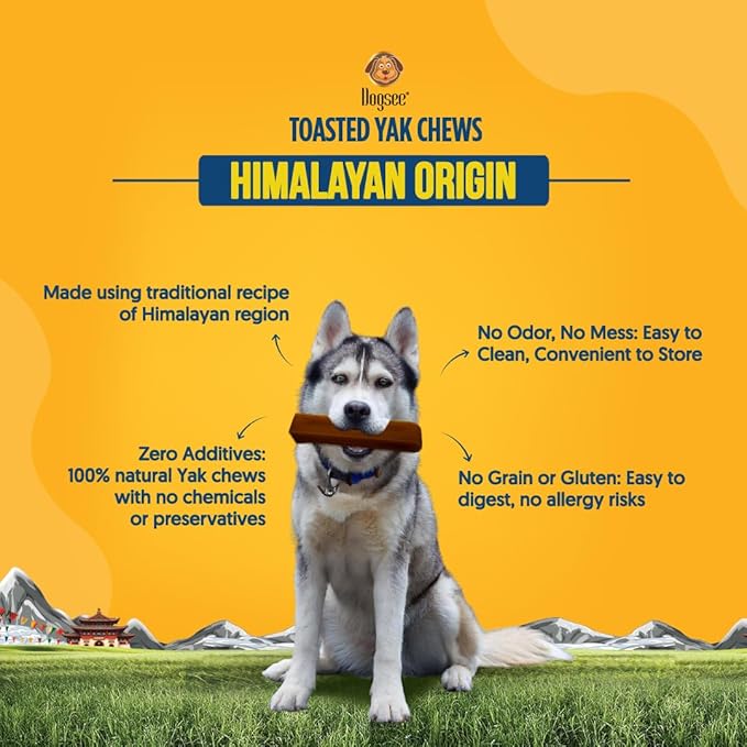Dogsee Toasted Yak Cheese Himalayan Dog Chews (Medium - 3 Chews) | Extra Long-Lasting | Double Cooked for Extra Smoky Cheese Flavor | Rich in Protein & Calcium | Easy to Digest | for Cleaning Teeth