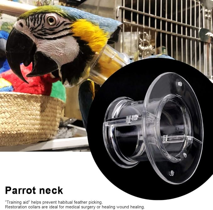 Parrot Neck Collar, Bird Recovery Cones Neck Cover Bird Protector for Birds(M)