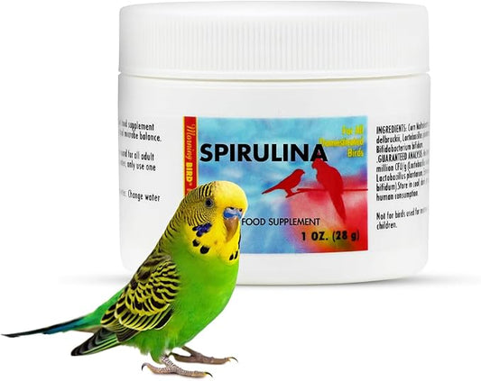 Morning Bird Spirulina 1 Oz Supplement for Caged Birds, Organic Bird Food Supplement with Vitamins, Proteins, and Amino Acids for Parakeets, Cockatiels, Budgies, Finches, Canaries, and Parrots