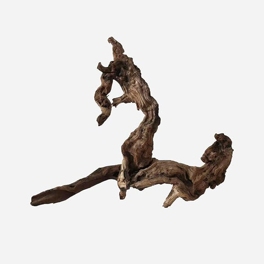 Natural Driftwood for Aquarium Decor, L20.08×W6.69×H18.11 Inches Large Drift Wood Decorations for Reptile Hide, Fish Tank, Optional Shapes