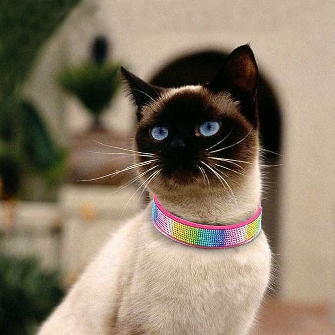 Cute Dog Collar with Bling Rhinestone, Fancy Crystal Diamond Glitter Pretty Jewel Soft Cat Collars for Small Medium Large Breed Dogs Girl Female Pet Puppy Kitten Terrier (XXS, Hot Pink3)