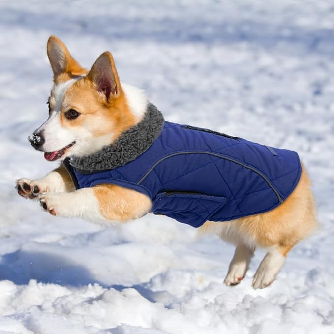 EMUST Winter Dog Coats, Fleece Pet Apparel for Cold Weather, British Style Windproof Warm Dog Jacket for Small Pet Coats for Winter, Dark Blue, XS