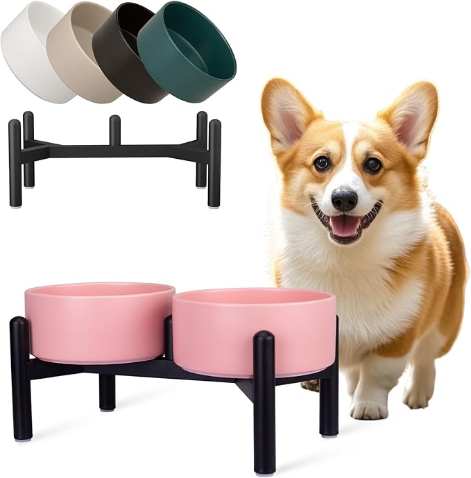 Raised Ceramic Dog Bowl Set - Elevated Double Dishes with Stainless Steel Stand - Food and Water Bowls for Small to Medium Dogs - Each Holds 2 Cups (28.75 fl oz) - Pink