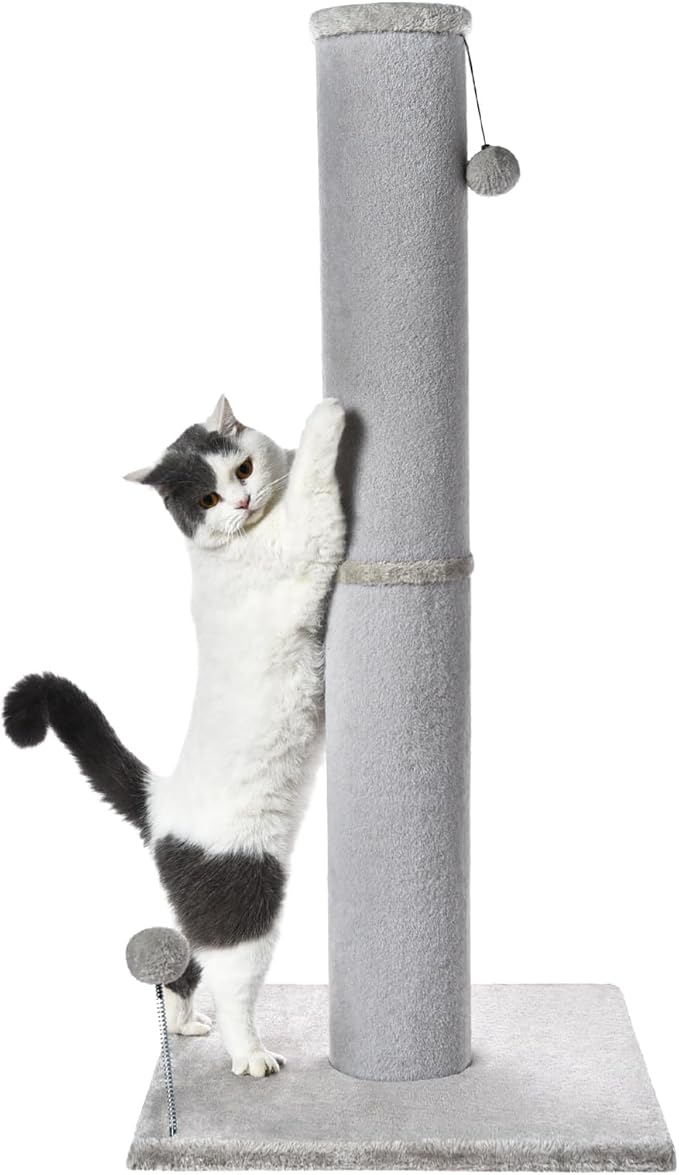 Cat Scratching Post Carpet Scratching Post 40" for Indoor Cats, Tall Cat Scratch Post, Carpet Cats Scratcher with Replaceable Toys, Sturdy Base, Large, White Gray