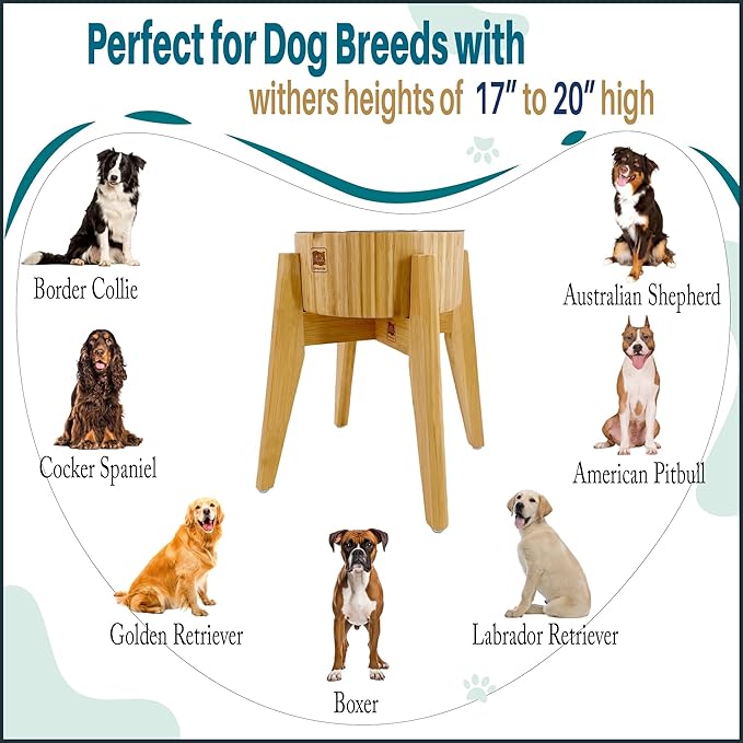 Slow Feeder Dog Bowls for Large Breed - 12-inch High Elevated, Raised Single Food Station - Detachable Parts, Suitable for Treats, Wet/Dry Pet Foods
