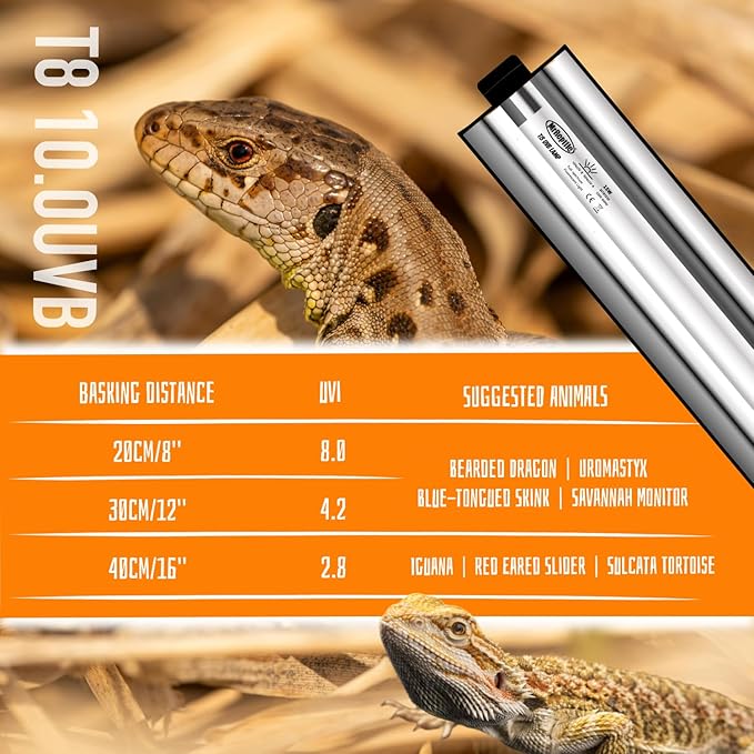 T8 UVB Reptile Light Kit, 15W UVB Light Fixture and 10.0 UVB Lamp Bulb Kit, for Desert-Dwelling Reptiles, Bearded Dragon UVB Light 18 inches