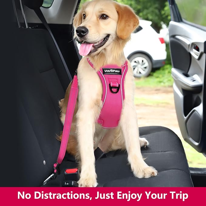 Dog Seat Belt Harness for Car, Dog Car Harness Adjustable Mesh Breathable & Dog Seatbelt Safety Tether with Elastic Bungee for Small Medium Large Pets(Rose, XL)