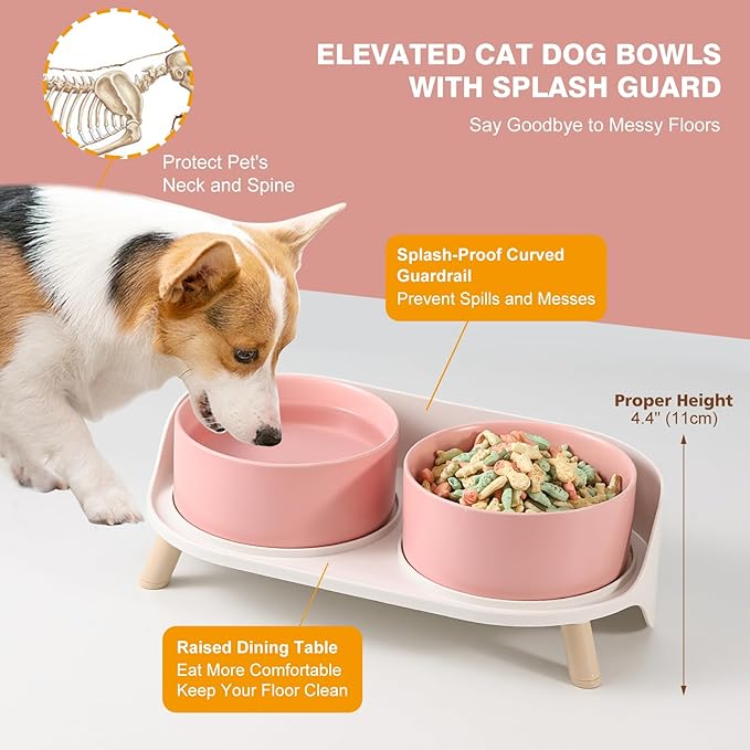 Elevated Ceramic Dog Bowl Set - Double Dog Feeding Bowls with Stand Splash Proof - Raised Dishes for Food and Water - Ideal for Small to Medium Dogs - 2 x 850 ml - 28.74 oz
