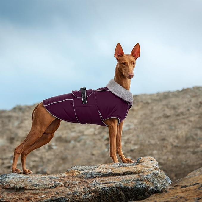 Lelepet Warm Dog Coat Reflective Fleece Vest Waterproof Dog Jacket with Adjustable Buckle Hook & Loop Windproof Cold Weather Coats for Small Medium Large Dogs, Dark Purple, L