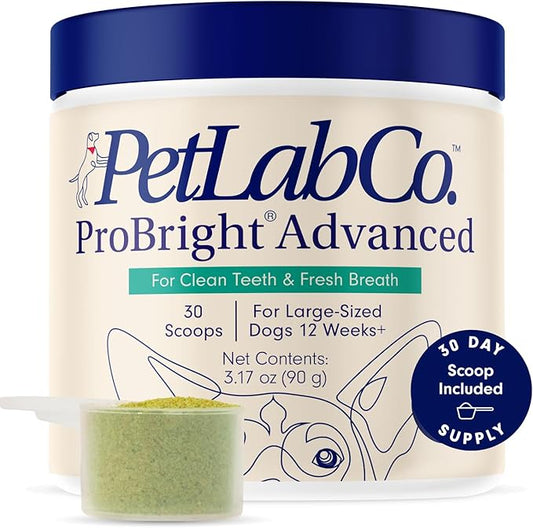PetLab Co. ProBright Advanced Dental Powder - Dog Breath Freshener - Teeth Cleaning Made Easy – Targets Tartar & Bad Breath - Packaging May Vary - Formulated for Large Dogs