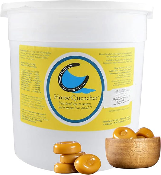 Horse Quencher Flavored Horse Hydration Supplement, Thirst Quencher for Horses, 13 lbs Pail, All-Natural Grains for Equestrians and Horse Owners, Aids in Preventing Health Issues