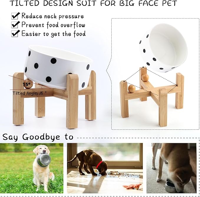 Petygooing Elevated/Raised 15°Slanted Ceramic Dog Bowl for Small and Medium Breeds, Tilted Anti Slip Pet Feeding Bowl,Food Water Dish with Stand for Cats and Dogs (28 OZ/3.6 Cups) Black Dot