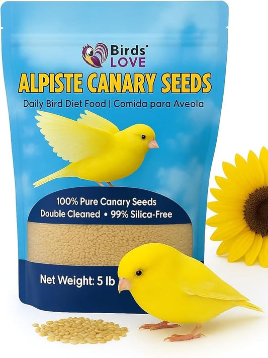 Birds LOVE Alpiste Canary Seed – 100% Pure, Non-GMO, Double Cleaned Food for Canaries, Finches, Budgies & Parakeets – No Additives, Bird Feed, 5 lbs