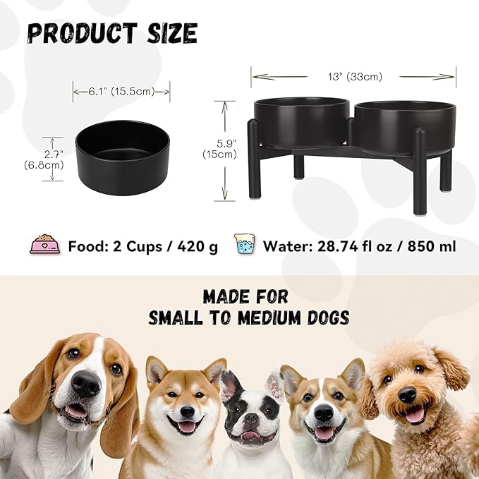 Raised Ceramic Dog Bowl Set - Elevated Double Dishes with Stainless Steel Stand - Food and Water Bowls for Small to Medium Dogs - Each Holds 2 Cups (28.75 fl oz) - Black