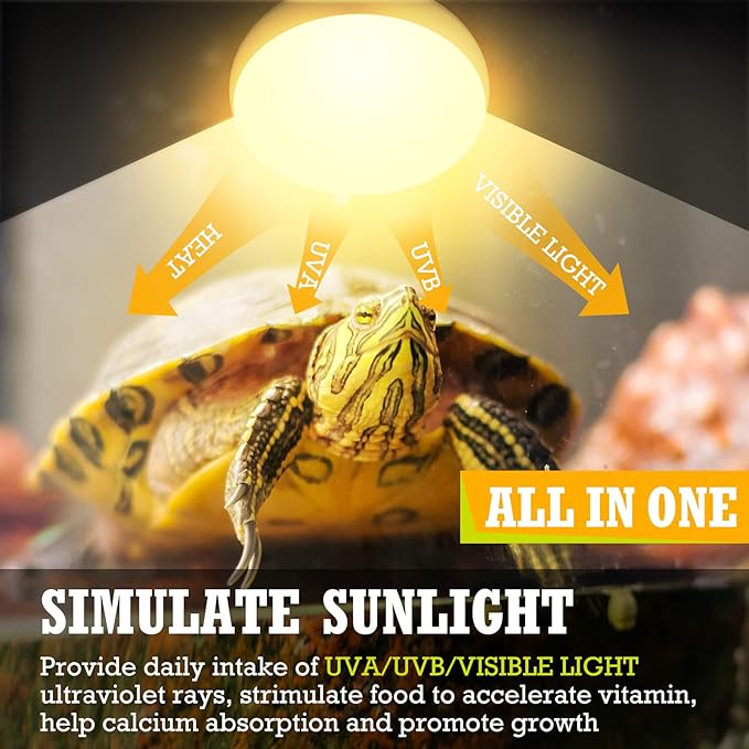 Tarpop 8 Pcs Reptile Heat Lamp Bulb, 75w Reptile Basking Heat Light Bulb Uva Daylight for Bearded Dragon, Amphibian, Turtle, Lizard, Chicken
