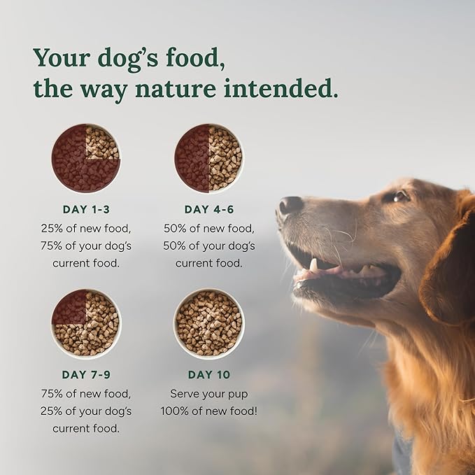 360 Pet Nutrition Freeze-Dried Raw Dog Food, High Protein, Balanced Meal, Chicken, Liver, Heart, Fruit, Veggies, Superfoods, No Fillers, 16 oz Food/Bites/Kibble (Chicken) Made in USA