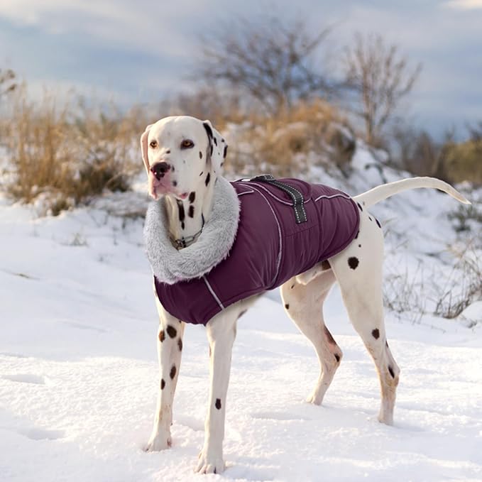 Lelepet Warm Dog Coat Reflective Fleece Vest Waterproof Dog Jacket with Adjustable Buckle Hook & Loop Windproof Cold Weather Coats for Small Medium Large Dogs, Dark Purple, XXL