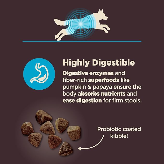 Wellness CORE Digestive Health Dry Dog Food, Wholesome Grains, Natural, Recipe for Dogs with Sensitive Stomachs, Whitefish & Brown Rice, (22-Pound Bag)