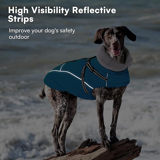 Queenmore Windproof Dog Coat for Medium Dogs,Dog Winter Jackets with Harness Built in,Waterproof Dogs Snowsuits with Zipper,Reflective Cold Weather Coats for Dachshund,Boston Terrier,Pug,Blue,M