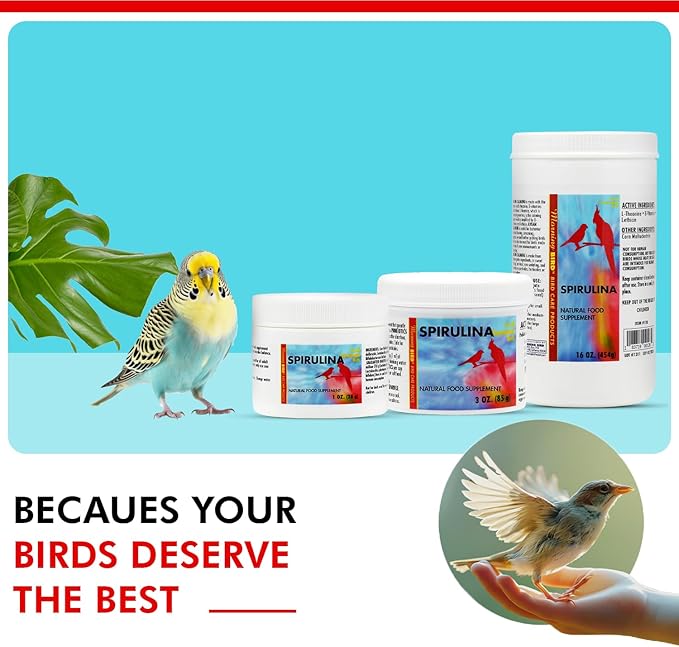 Morning Bird Spirulina, Supplement for Caged Birds, Organic Bird Food Supplement with Vitamins, Proteins, and Amino Acids for Parakeets, Cockatiels, Budgies, Finches, Canaries, and Parrots, 16 oz