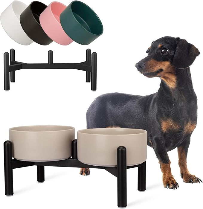 Raised Ceramic Dog Bowl Set - Elevated Double Dishes with Stainless Steel Stand - Food and Water Bowls for Small to Medium Dogs - Each Holds 2 Cups (28.75 fl oz) - Grey