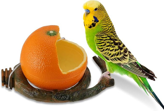 Bird Feeder Bowl for Small Size Birds Budgies Cockatiels Lovebirds Canaries