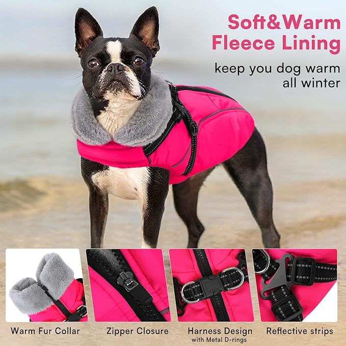 Queenmore Windproof Dog Coat for Medium Dogs,Dog Winter Jackets with Harness Built in,Waterproof Dogs Snowsuits with Zipper,Reflective Cold Weather Coats for Dachshund，Boston Terrier,Pug,Rose Red,M