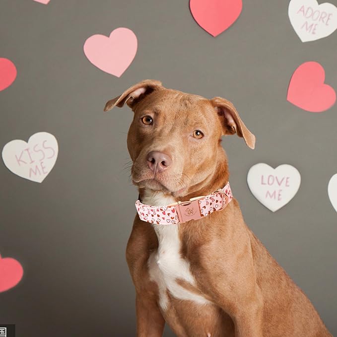 Elegant little tail Dog Collar, Valentine's Dog Collar Pet Collar, Pink Heart Dog Collar Cute Girl or Boy Dog Collar Puppy Pet Gift Adjustable Dog Collar for Large Dogs