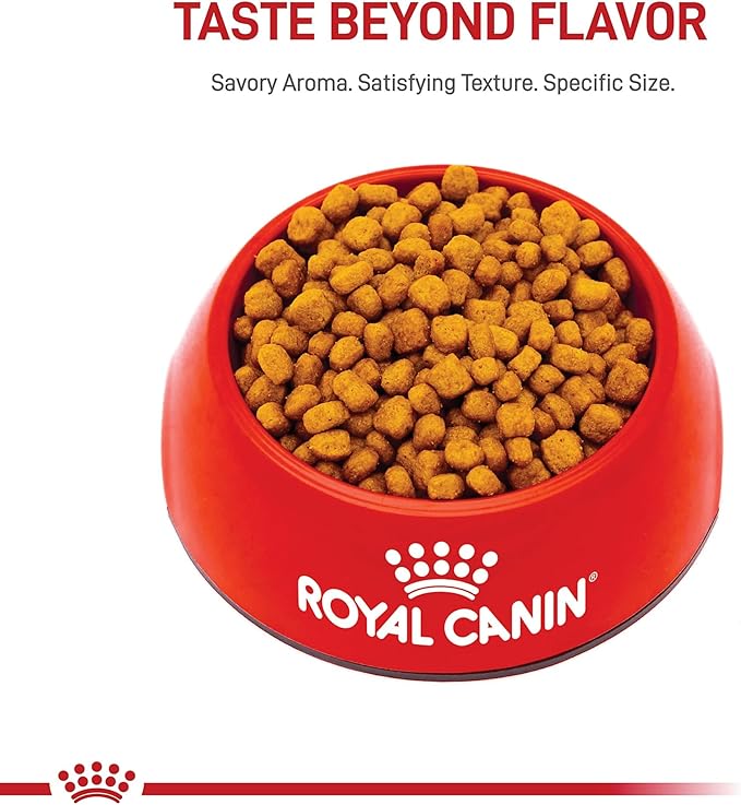 Royal Canin Chihuahua Adult Breed Specific Dry Dog Food, 2.5 lb. Bag