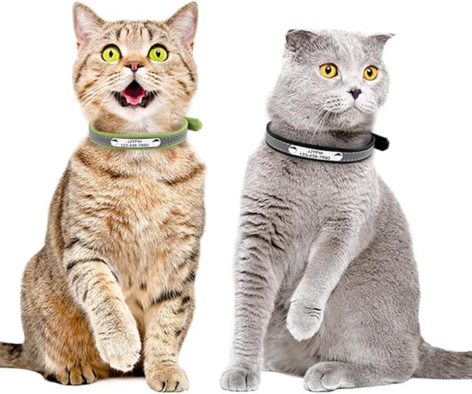 Personalized Reflective Cat Collars with Name Tag and Plated,Engraved Custom Cat Collar with Name and Phone,Kitten Collar with Safety Buckle Adjustable for Cats and Kitten(Pink)
