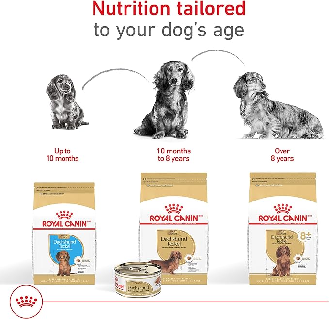Royal Canin Dachshund Adult Breed Specific Dry Dog Food, 10 Lb bag