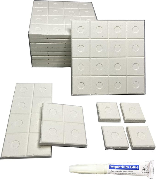 Breakable Coral Frag Tile 4inch 10pcs with Free Aquarium Glue White frag Rack Plugs