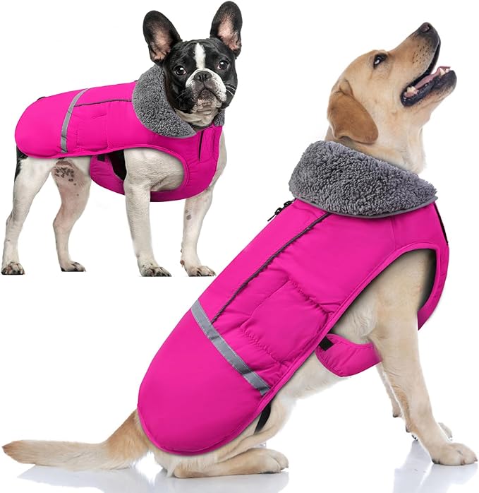 Doglay Dog Coat, Waterproof Dog Jacket Pet Winter Coat for Cold Weather with Thicken Furry Collar, Reflective Puppy Winter Jacket Warm Fleece Lining for Small Medium Large Pets