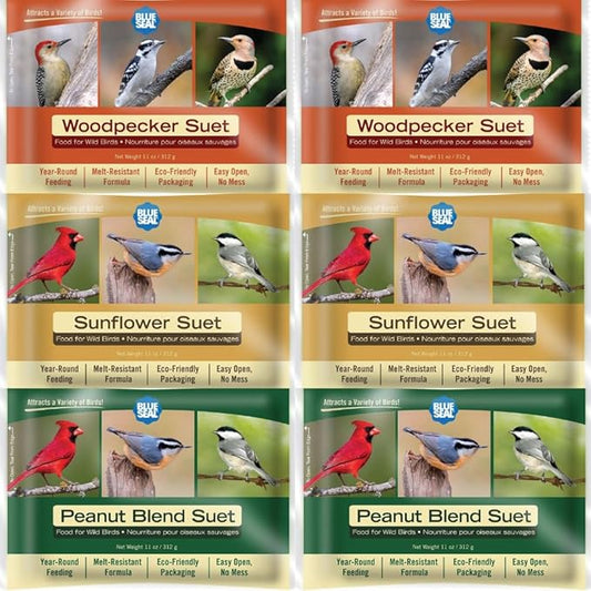 Blue Seal Nut Feast Suet Cakes for Wild Birds | No Mess Suet Feed with Variety of Nuts | Food for Woodpeckers, Cardinals, Siskins & Sparrows | Use with Suet Feeder | 11oz Seed Cake (6 Variety Pack)