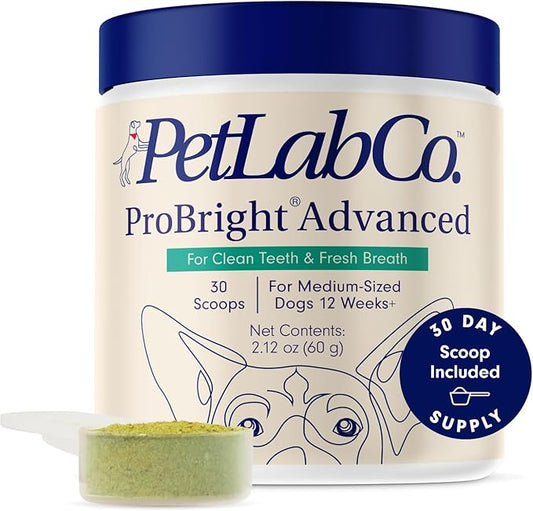 PetLab Co. ProBright Advanced Dental Powder - Dog Breath Freshener - Teeth Cleaning Made Easy – Targets Tartar & Bad Breath - Packaging May Vary - Formulated for Medium Size Dogs
