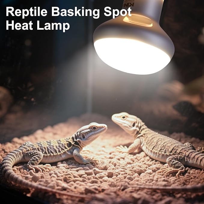 KINUR Reptile Heat Lamp Bulb-75W 2 Pack,UVA Basking Light Heat Lamp Bulbs,Natural Daylight Heating Light for Bearded Dragon,Turtle,Tortoise,Lizard,Snake,Gecko,Chicken with Digital Temperature Strips