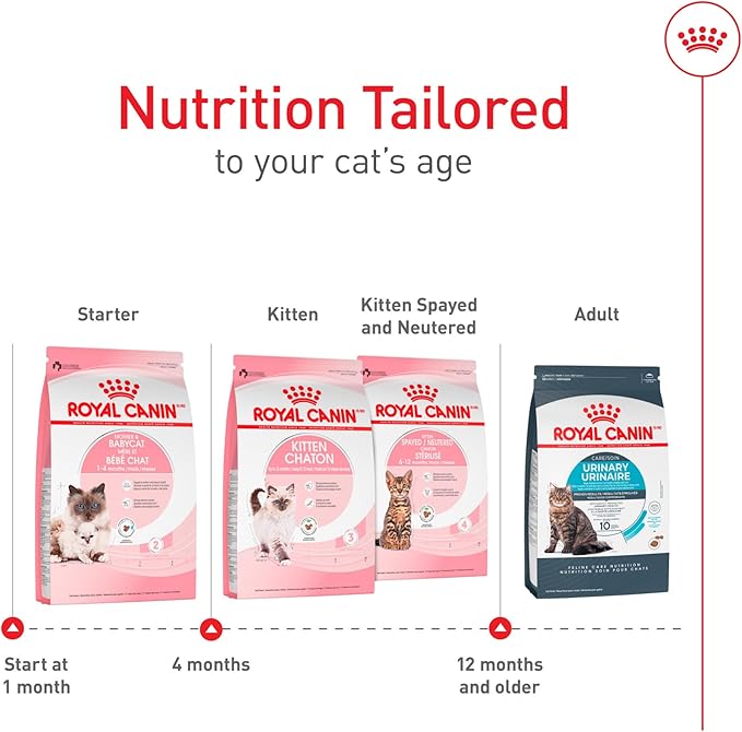 Royal Canin Feline Health Nutrition Mother & Babycat Dry Cat Food, 3 lb Bag