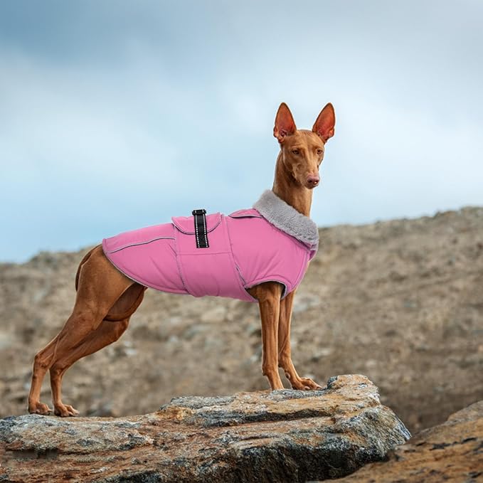 Lelepet Warm Dog Coat Reflective Fleece Vest Waterproof Dog Jacket with Adjustable Buckle Hook & Loop Windproof Cold Weather Coats for Small Medium Large Dogs, Pink, S