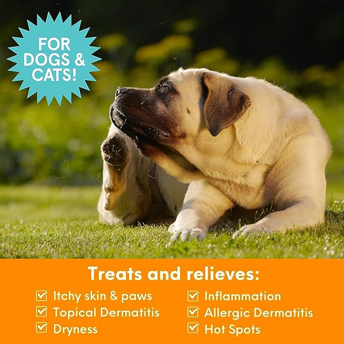 Nootie Medicated Anti-itch Spray, Itch Relief & Skin Care for Dogs & Cats, Formulated for Veterinarians, Sold in over 10,000 Clinics & Stores Worldwide, 8 fl oz