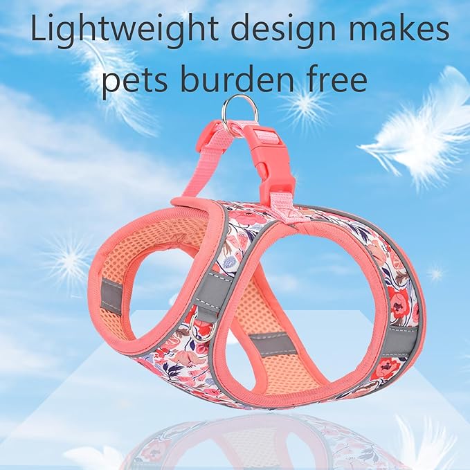 XS Dog Harness and Leash Set, Step in Dog Harness No Pull for Walking Running Training, Puppy Essentials for Dogs Cat Bunny, Adjustable Reflective Dog Vest Harness. (Orange, XS)