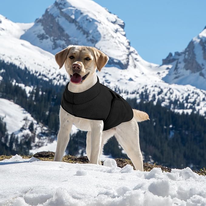 Queenmore XXL Dog Sweaters, Soft Fleece Vest Pullover Pet Jacket with Leash Hole, Warm Winter Dog Clothes Cold Weather Doggy Dachshund Sweater for Large Dogs Cats Boy or Girl (Black, XXL)