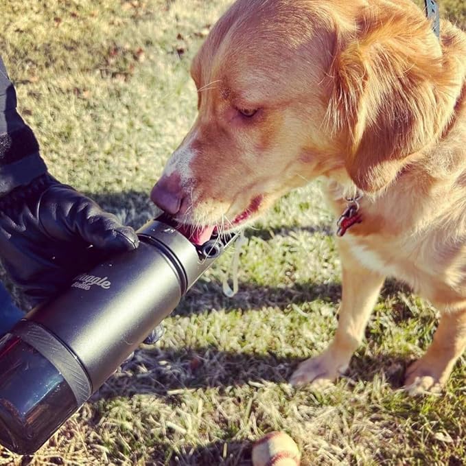 Stainless Steel Dog Travel Water Bottle, Double-Wall Vacuum Insulated Portable Dog Water Dispenser, Drink Cup and Snack Container On The Go, Outdoor Walking, Hiking, Travel, Water Bottle