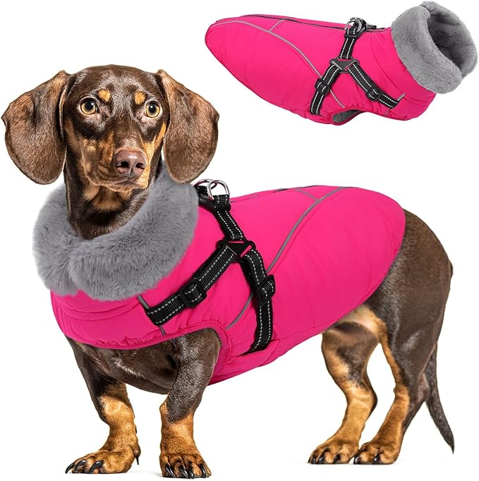 Queenmore Windproof Dog Coat for Medium Dogs,Dog Winter Jackets with Harness Built in,Waterproof Dogs Snowsuits with Zipper,Reflective Cold Weather Coats for Dachshund，Boston Terrier,Pug,Rose Red,M