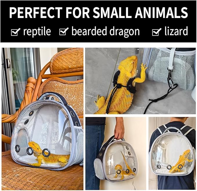 Bearded Dragon Lizard Backpack Carrier with Harness and Leash Set, Small Animal Carrier Backpack, Space Capsule Bubble Window, Small Pet Carrier Backpack, Airline Approved(Green)