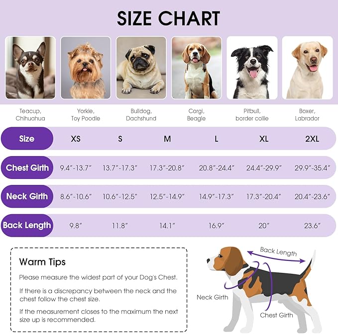 Queenmore Dog Winter Coat, Cold Weather Fleece Jacket for Dogs, Waterproof Reflective Reversible, for Small, Medium and Large Dogs (Purple, M)