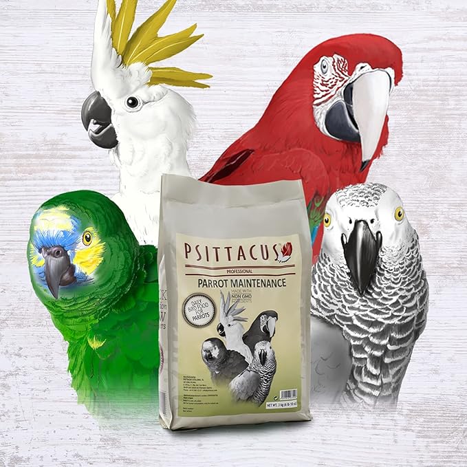Psittacus Parrot Maintenance 6.6 lb | Complete Pellet Diet for Caiques, Macaws, African Greys and Amazonas | Premium Food for Birds, 100% no-GMO