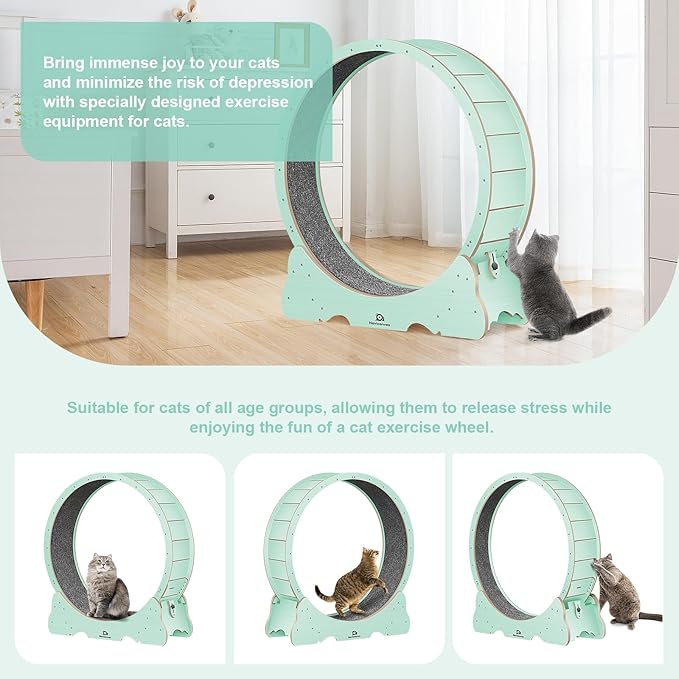 Cat Wheel, 48" XL Large Cats Exercise Running Wheel, Cat Treadmill for Indoor Cats, Green