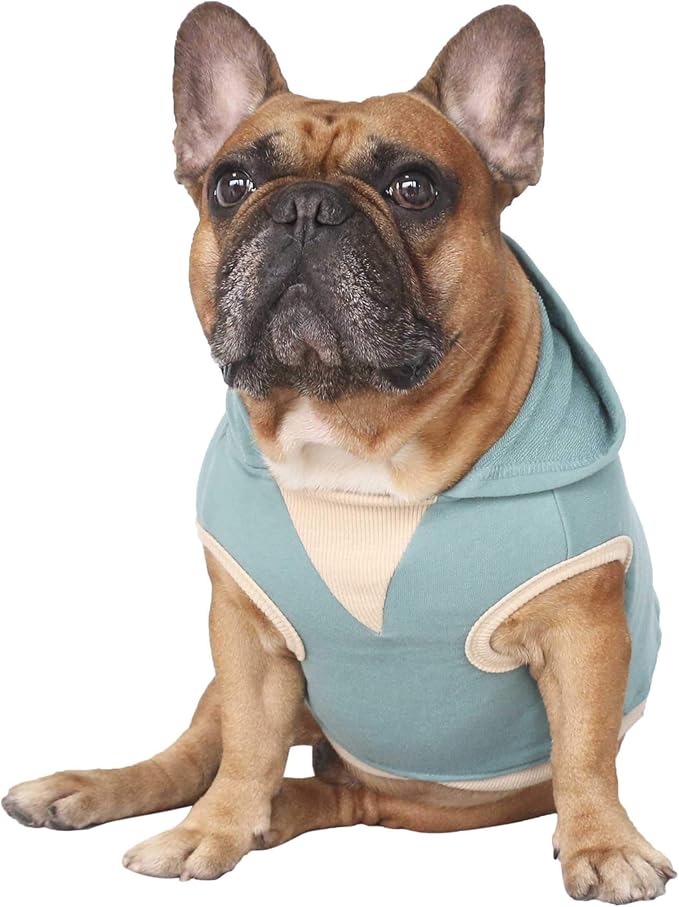 iChoue 100% Breathable Cotton Dog Hoodies Clothes for French Bulldog Sweatshirts Sweaters Frenchie Pug English Medium Dogs - Blue, Large Plus