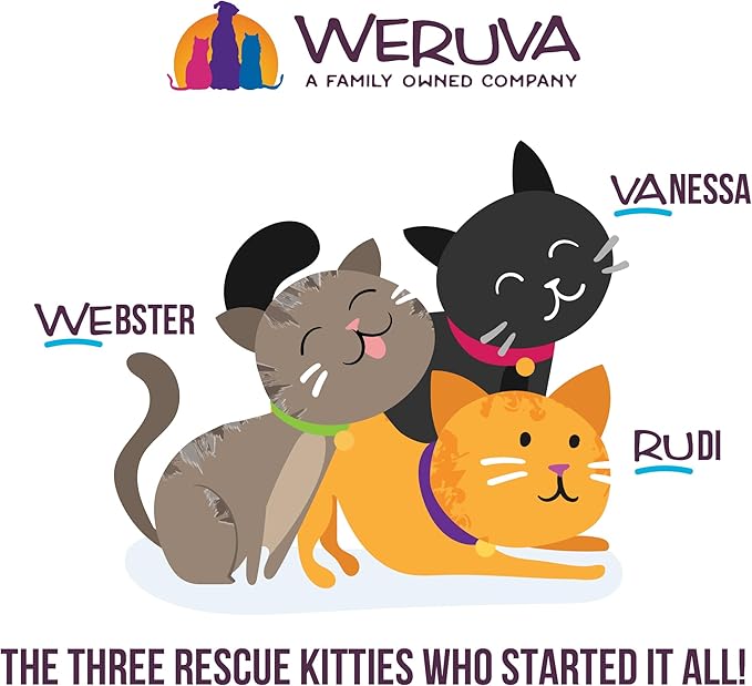 Weruva Cats in The Kitchen, Funk in The Trunk with Chicken in Pumpkin Consomme Cat Food, 3.2oz Can (Pack of 24)